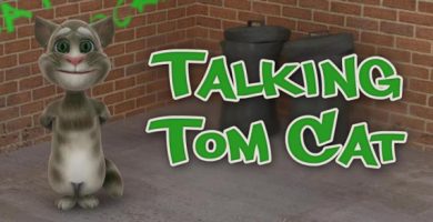 Talking tom cat